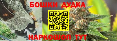 мдпв Пушкино